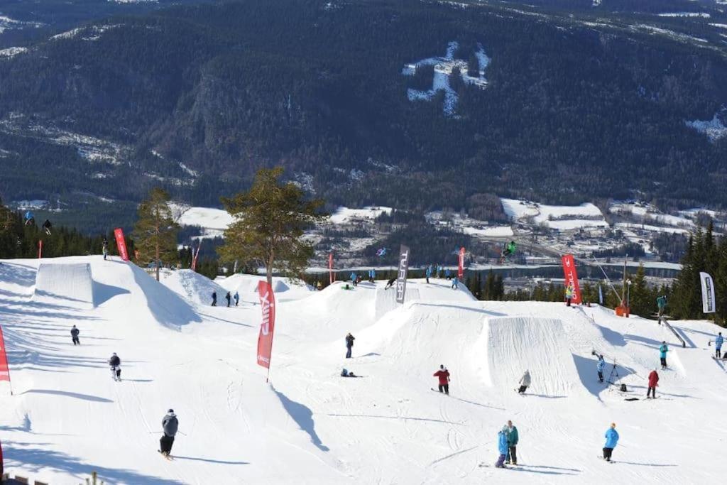 Leilighet Med Panoramautsikt Sjusjoen Innendors Parkering Exteriör bild