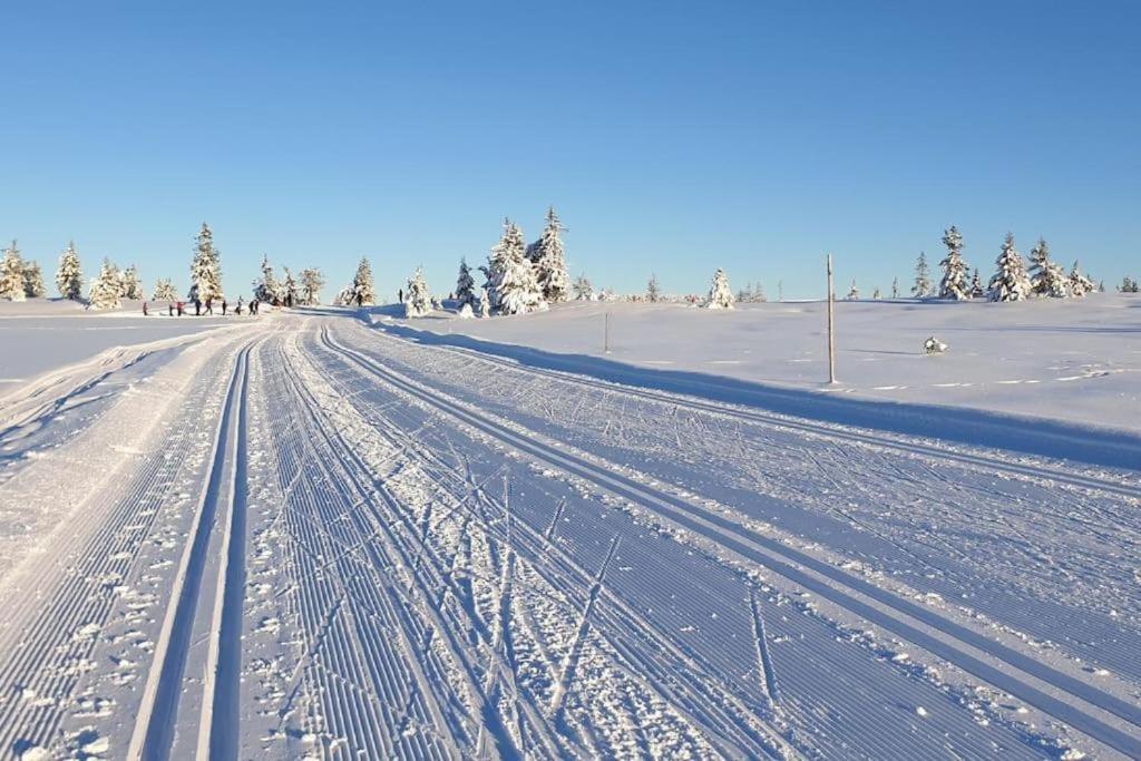Leilighet Med Panoramautsikt Sjusjoen Innendors Parkering Exteriör bild